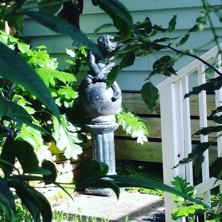 Bed and breakfast La Perouse Lorne Extérieur photo